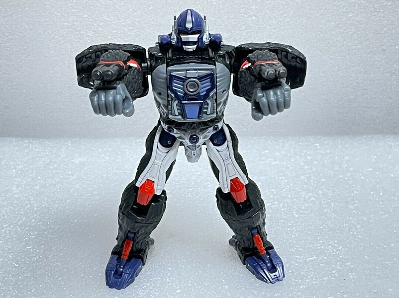 So Cool Upgrade Kit For Kingdom Optimus Primal Upgrade Kit  (3 of 8)